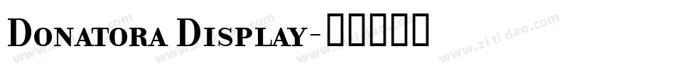 Donatora Display字体转换